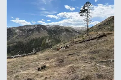 711 Saddle Ridge Rd, Bellvue, CO 80512 - Photo 21