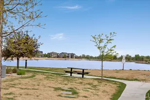 2178 Cape Hatteras Dr, Windsor, CO 80550 - Photo 3