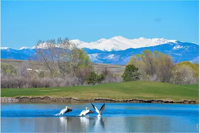 2178 Cape Hatteras Dr #24-6, Windsor, CO 80550 - Photo 45
