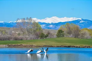 2178 Cape Hatteras Dr, Windsor, CO 80550 - Photo 45