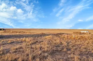 41219 Co Rd 84, Briggsdale, CO 80611 - Photo 9