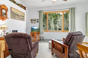 1002 Streamside Dr, Glen Haven, CO 80532 - Photo 17
