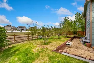 511 Prairie Clover Way, Severance, CO 80550 - Photo 31