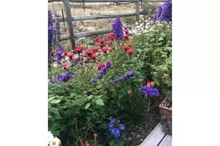 17284 W County Rd 74e, Red Feather Lakes, CO 80545 - Photo 47