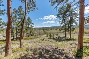 24 Sarsi Ct, Red Feather Lakes, CO 80545 - Photo 35
