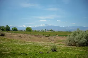 4330 Crane Ct, Loveland, CO 80537 - Photo 3