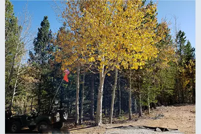 3200 Ottawa Way, Red Feather Lakes, CO 80545 - Photo 13