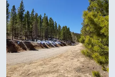 3200 Ottawa Way, Red Feather Lakes, CO 80545 - Photo 7
