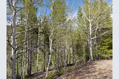 3200 Ottawa Way, Red Feather Lakes, CO 80545 - Photo 27