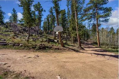 151 Columbine Dr, Red Feather Lakes, CO 80545 - Photo 31