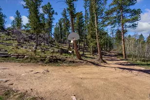 151 Columbine Dr, Red Feather Lakes, CO 80545 - Photo 31