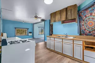 151 Columbine Dr, Red Feather Lakes, CO 80545 - Photo 15