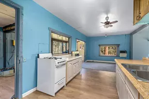 151 Columbine Dr, Red Feather Lakes, CO 80545 - Photo 13