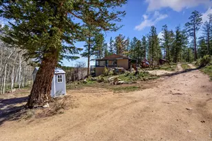 151 Columbine Dr, Red Feather Lakes, CO 80545 - Photo 29