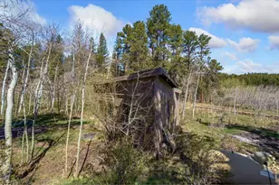 151 Columbine Dr, Red Feather Lakes, CO 80545 - Photo 33