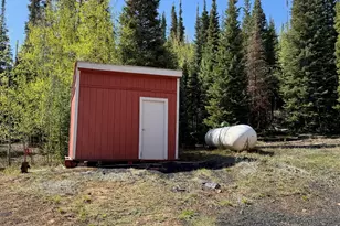 44 Alpine Ln, Walden, CO 80480 - Photo 25