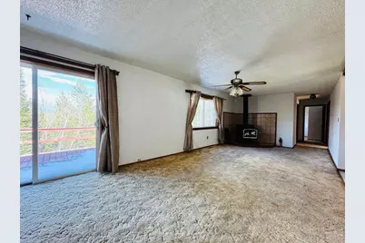 44 Alpine Ln, Walden, CO 80480 - Photo 5