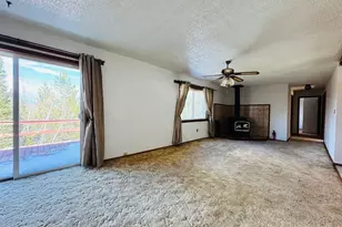 44 Alpine Ln, Walden, CO 80480 - Photo 5