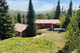 44 Alpine Ln, Walden, CO 80480 - Photo 3