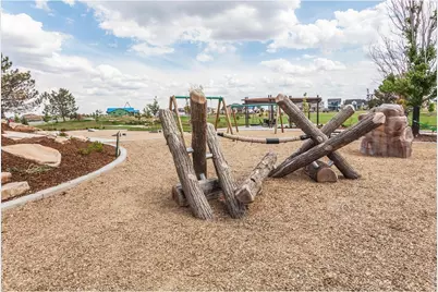 6125 Saddle Horn Dr, Timnath, CO 80547 - Photo 41