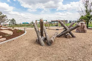 6125 Saddle Horn Dr, Timnath, CO 80547 - Photo 41