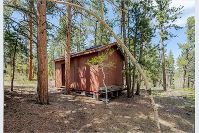 104 County Road 90, Allenspark, CO 80510 - Photo 25