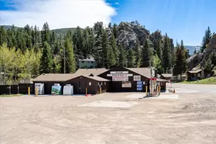 104 Co Rd 90, Allenspark, CO 80510 - Photo 39