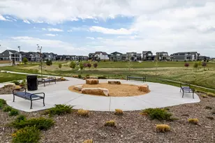 5417 Yancy St, Timnath, CO 80547 - Photo 37
