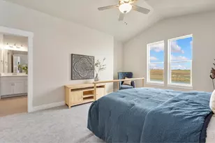 6224 Vernazza Way, Windsor, CO 80550 - Photo 13