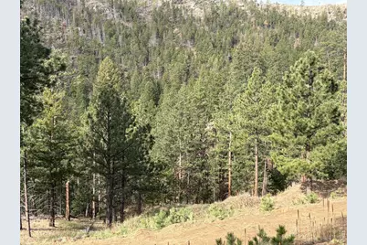 1899 Spring Valley Rd, Bellvue, CO 80512 - Photo 37