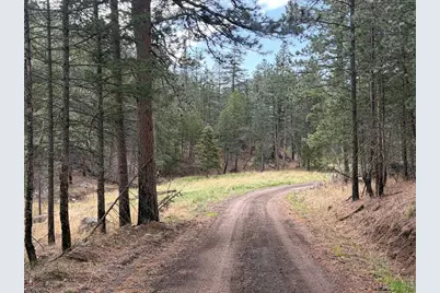 1899 Spring Valley Rd, Bellvue, CO 80512 - Photo 17