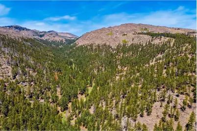 1899 Spring Valley Rd, Bellvue, CO 80512 - Photo 15