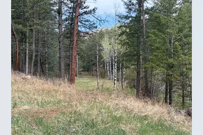 1899 Spring Valley Rd, Bellvue, CO 80512 - Photo 19