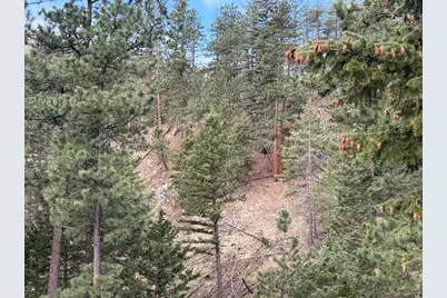 1899 Spring Valley Rd, Bellvue, CO 80512 - Photo 31