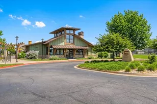 6241 Vernazza Way, Windsor, CO 80550 - Photo 31