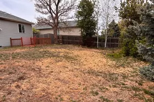 1461 Farmland Ln, Milliken, CO 80543 - Photo 19
