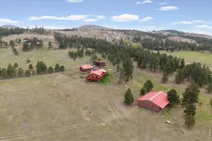 2515 Davis Ranch Rd, Bellvue, CO 80512 - Photo 43