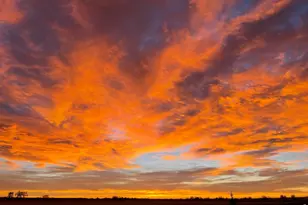 7166 Cottage Ct, Timnath, CO 80547 - Photo 35