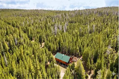 10000 Forest Rd 169, Red Feather Lakes, CO 80545 - Photo 21