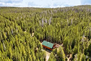 10000 Forest Rd 169, Red Feather Lakes, CO 80545 - Photo 21