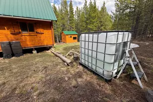 10000 Forest Rd 169, Red Feather Lakes, CO 80545 - Photo 15