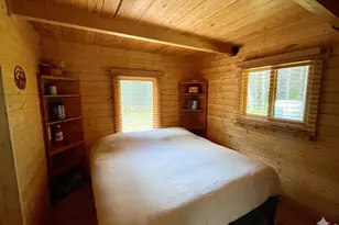 10000 Forest Rd 169, Red Feather Lakes, CO 80545 - Photo 9