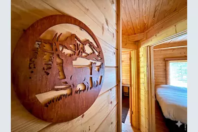 10000 Forest Rd 169, Red Feather Lakes, CO 80545 - Photo 7