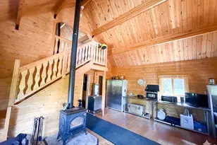 10000 Forest Rd 169, Red Feather Lakes, CO 80545 - Photo 5