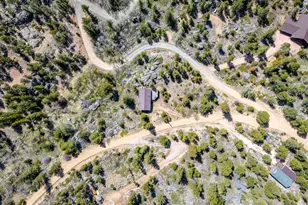 194 Mattapony Way, Red Feather Lakes, CO 80545 - Photo 39