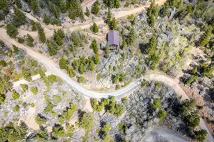 194 Mattapony Way, Red Feather Lakes, CO 80545 - Photo 43