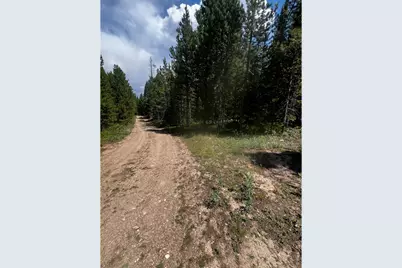 [Address not provided], Red Feather Lakes, CO 80545 - Photo 19