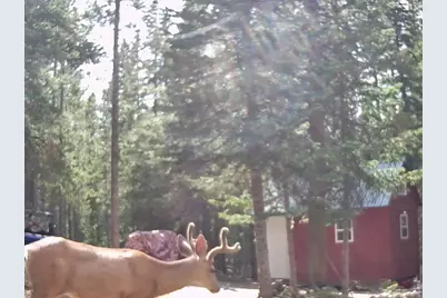 [Address not provided], Red Feather Lakes, CO 80545 - Photo 27