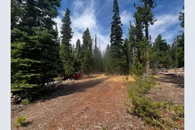 [Address not provided], Red Feather Lakes, CO 80545 - Photo 3