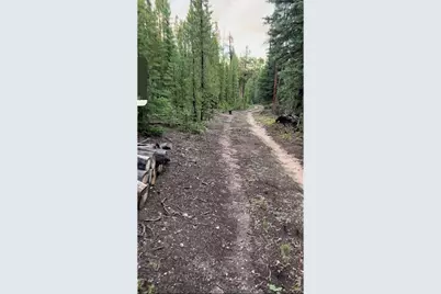 [Address not provided], Red Feather Lakes, CO 80545 - Photo 9
